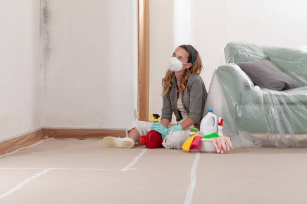 Reliable Mold Removal contractor in Joint Base Mdl, NJ by Mold Remediation HQ